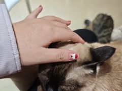 -藏猫猫咖啡主题馆(中央大道店)