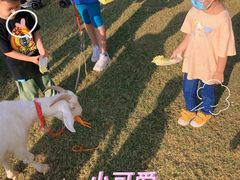 -前小桔亲子创意农场·草莓采摘·露营烧烤