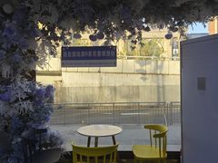 -茶芭蕾(团结路店)