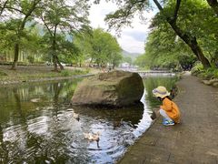 -鹿亭中村