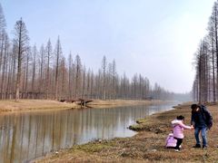 -黄海国家森林公园