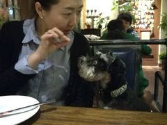 -百好乐宠物友好餐厅(朝外大街店)