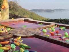 -天目湖涵田半山温泉