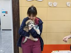 -美联众合爱康动物医院•复杂内科•肿瘤科•牙科•腔镜诊疗中心