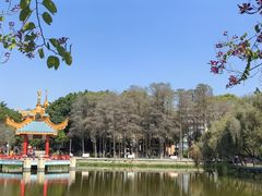 -金砂公园