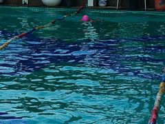 -威蒂斯国际健身游泳会所(东莞庄路店)