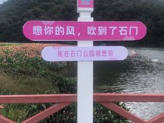 -广州市石门国家森林公园