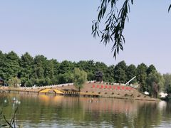 -渌洋湖湿地公园