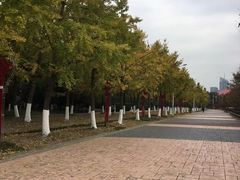 -金陵图书馆