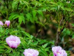 -幕燕滨江·长江观音景区