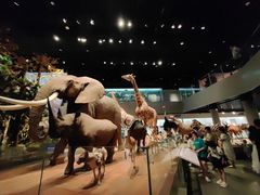 -陕西自然博物馆