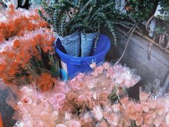 -循礼门鲜花花市(武汉循礼门店)