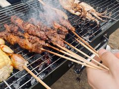 -白河湾生态旅游一条川