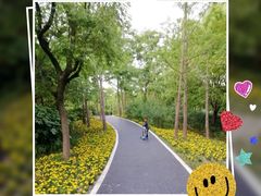 -新江湾城公园