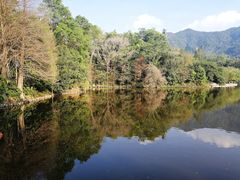 -深圳仙湖植物园