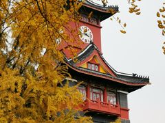 -四川大学(华西校区)