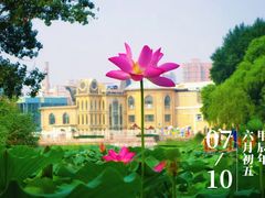 -朝阳公园
