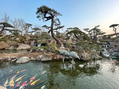 -罗红摄影艺术馆