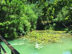 -仙店农庄(湖景农庄餐厅)