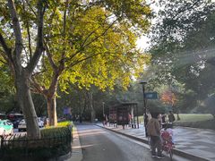 -她说户外烧烤团建(西湖店)