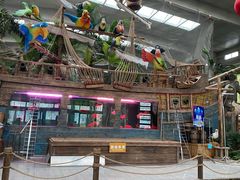 -南宫五洲植物乐园