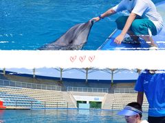 -北戴河圣蓝海洋公园