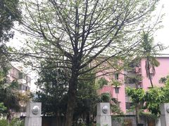-广州神农草堂中医药博物馆