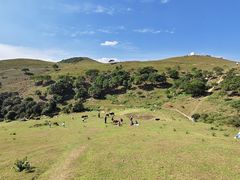-大姆山草场