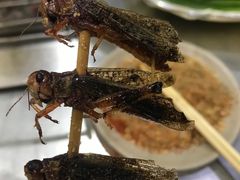 -小寒羊烧烤(凯瑞时代大厦店)