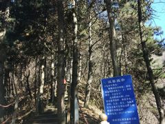 -陕西省红河谷森林公园