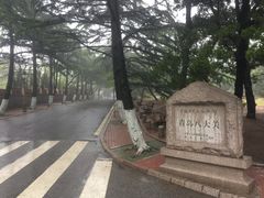 -八大关景区