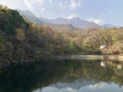 -阳台山自然风景区