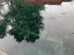 -百脉泉景区