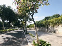 -八仙山公园