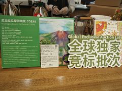 -DECAMERON十日谈(前海嘉里中心店)