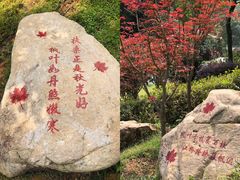 -广州市帽峰山景区