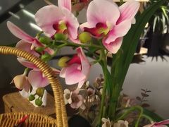 -施奈儿.洗头頭療.按摩SPA.采耳(上梅林店)