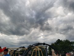 -铁山坪森林公园