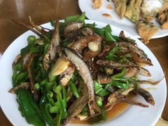 辣炒干鱼-微山岛春天里酒家