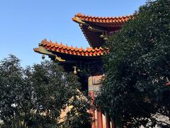 -西安大兴善寺