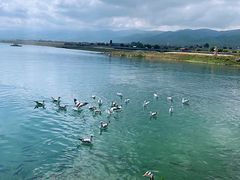 -青海湖国家重点风景名胜区