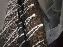 -华荣西饼屋(金禧店)