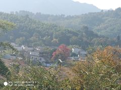 -塔川景区