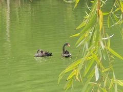 -中海·庐山西海君澜度假酒店·味屿全日制餐厅