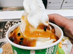 -Salud撒露欧洲冻酸奶(蓝色港湾店)