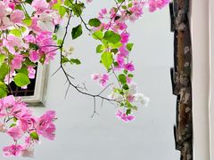 -深圳国际园林花卉博览园