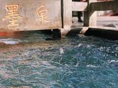 -百脉泉景区