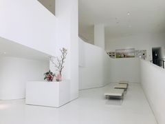 -罗红摄影艺术馆