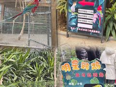 -世界地热博览园