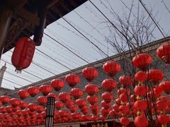 -洋湖国家湿地公园